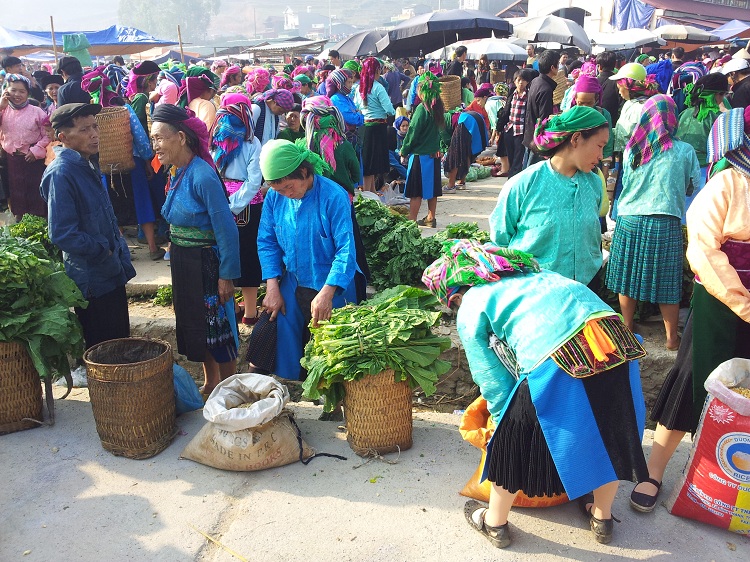visit ha giang local market